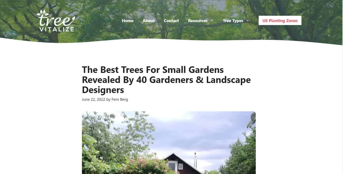 Best trees expert roundup